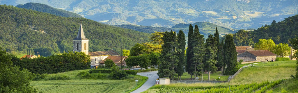 Rhone Valley Wines