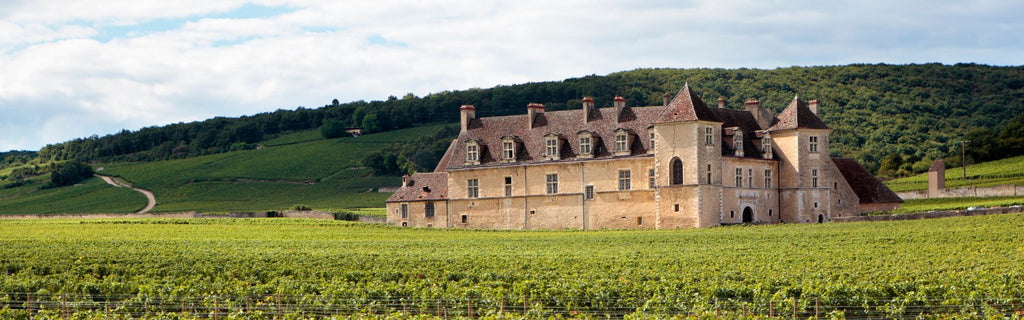 What is the Difference Between Old World and New World Wine?