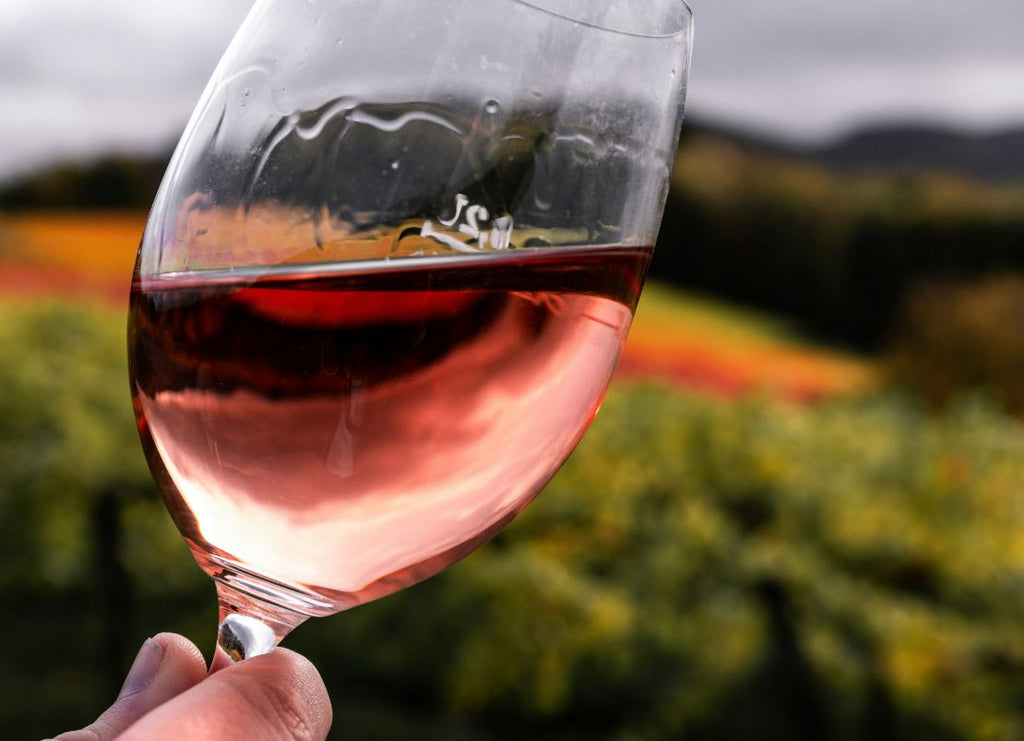 Best Wines for a Zero Proof Summer Gathering