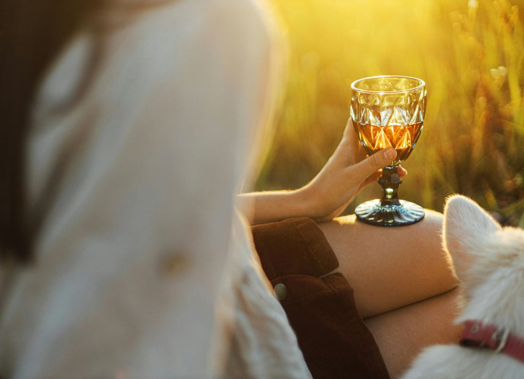 Best Wines for a Cozy Autumn in Ireland: With or Without Alcohol