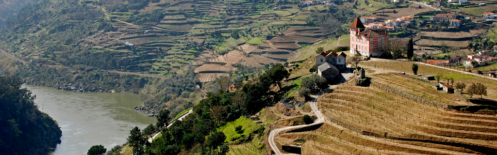 All You Need to Know About Portuguese Wines