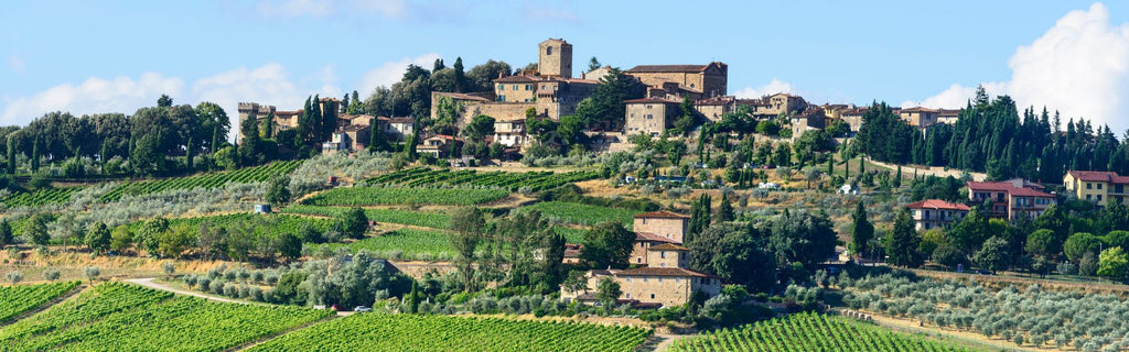 Fun Facts about Italian Wine & Regions