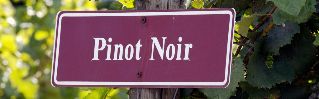 What is Pinot?