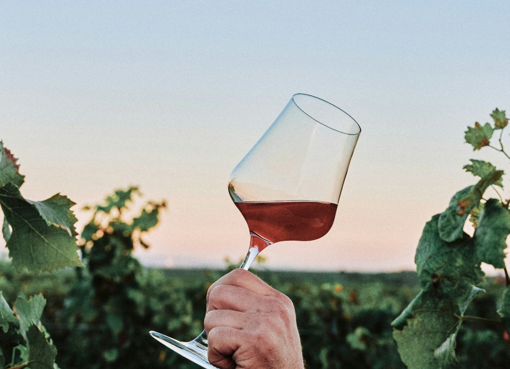 Bloom Into Flavor: Top Wines for Spring