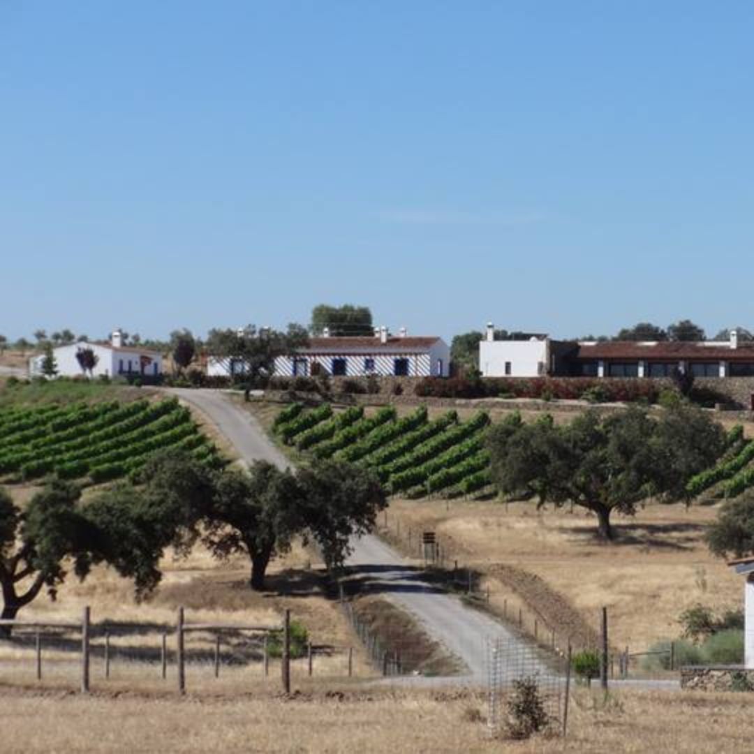 Casa da Urra Reserva 2017 White Wine
