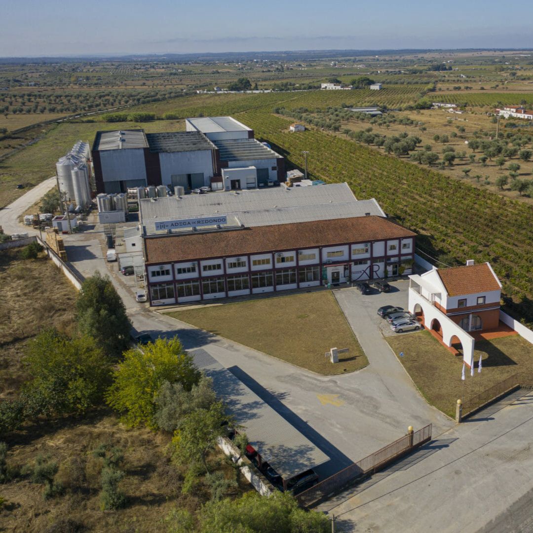 AR Colheita Especial 2019 Red Wine