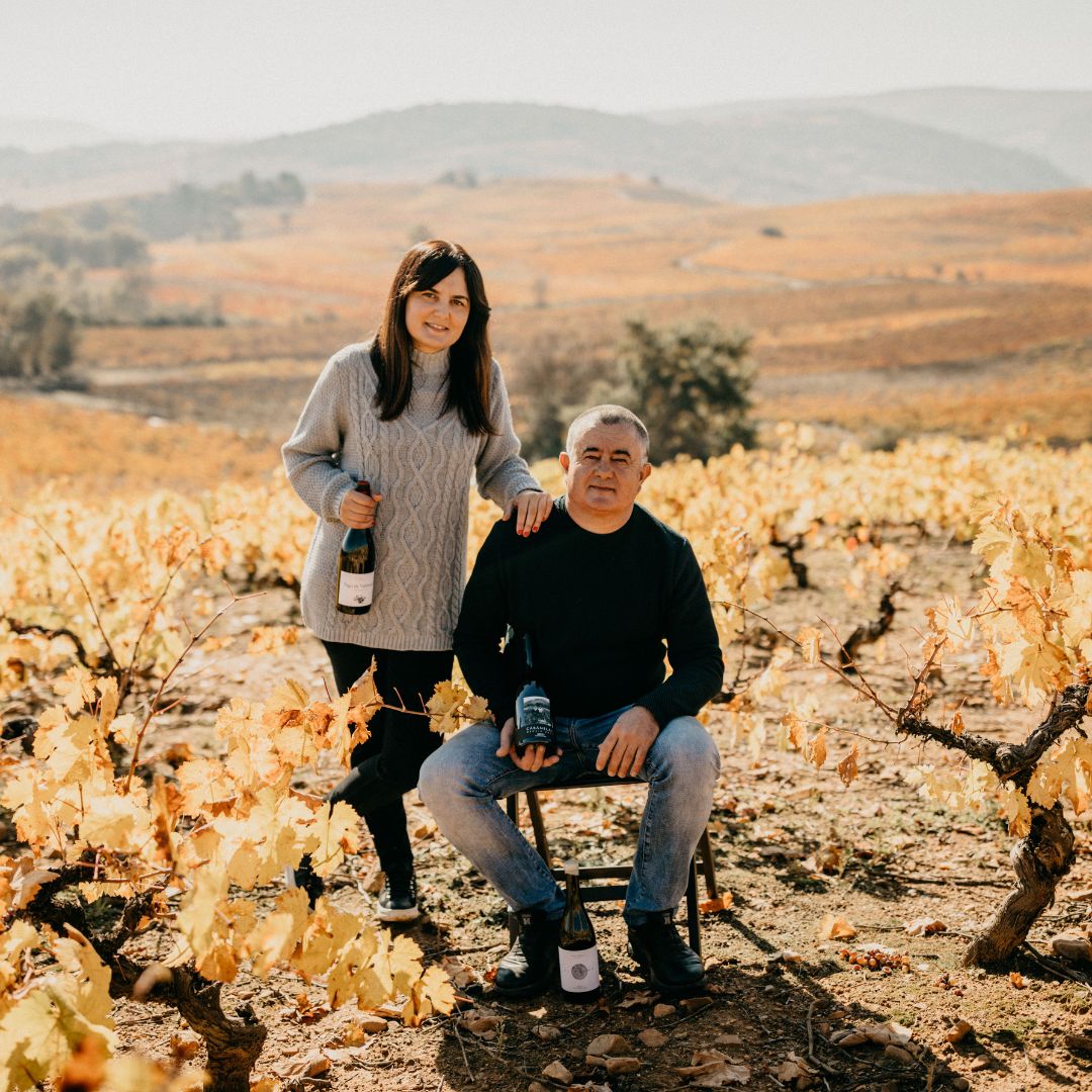 Pago de Valdoneje Vinas Viejas 2017 Red Wine