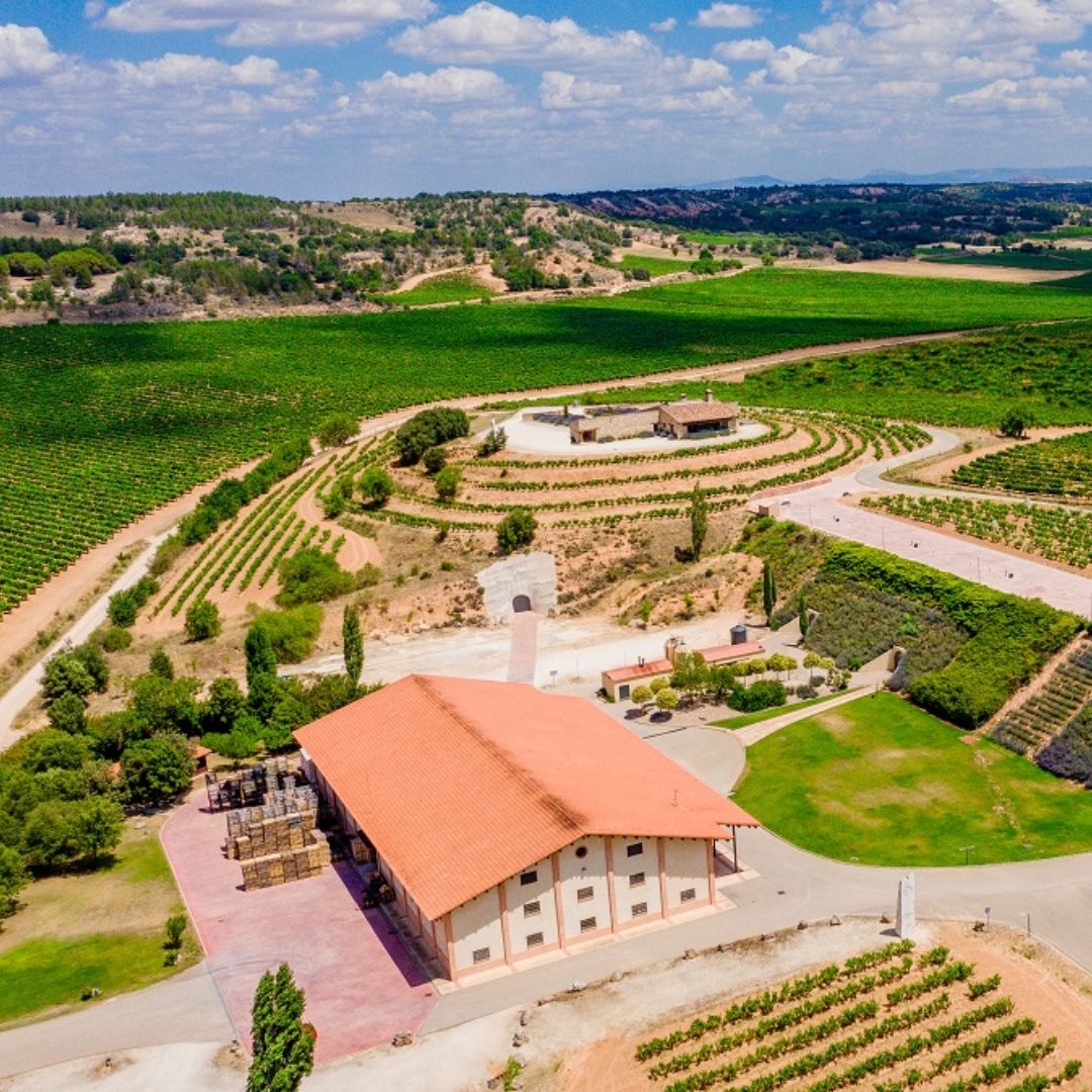 Garcia Viadero Blanco Natural 2020 White Wine