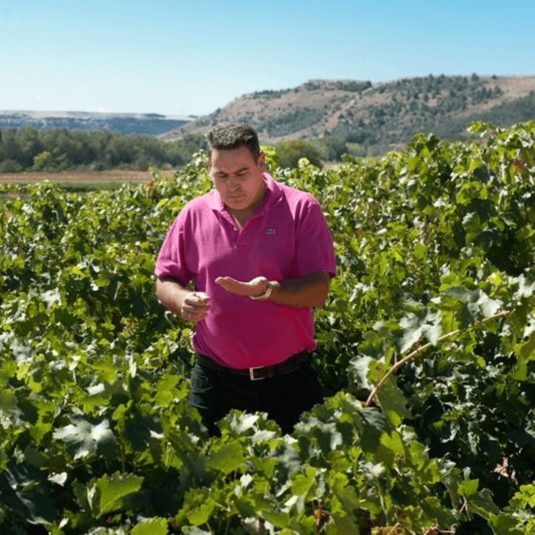 Vizcarra Senda del Oro 2019 Red Wine