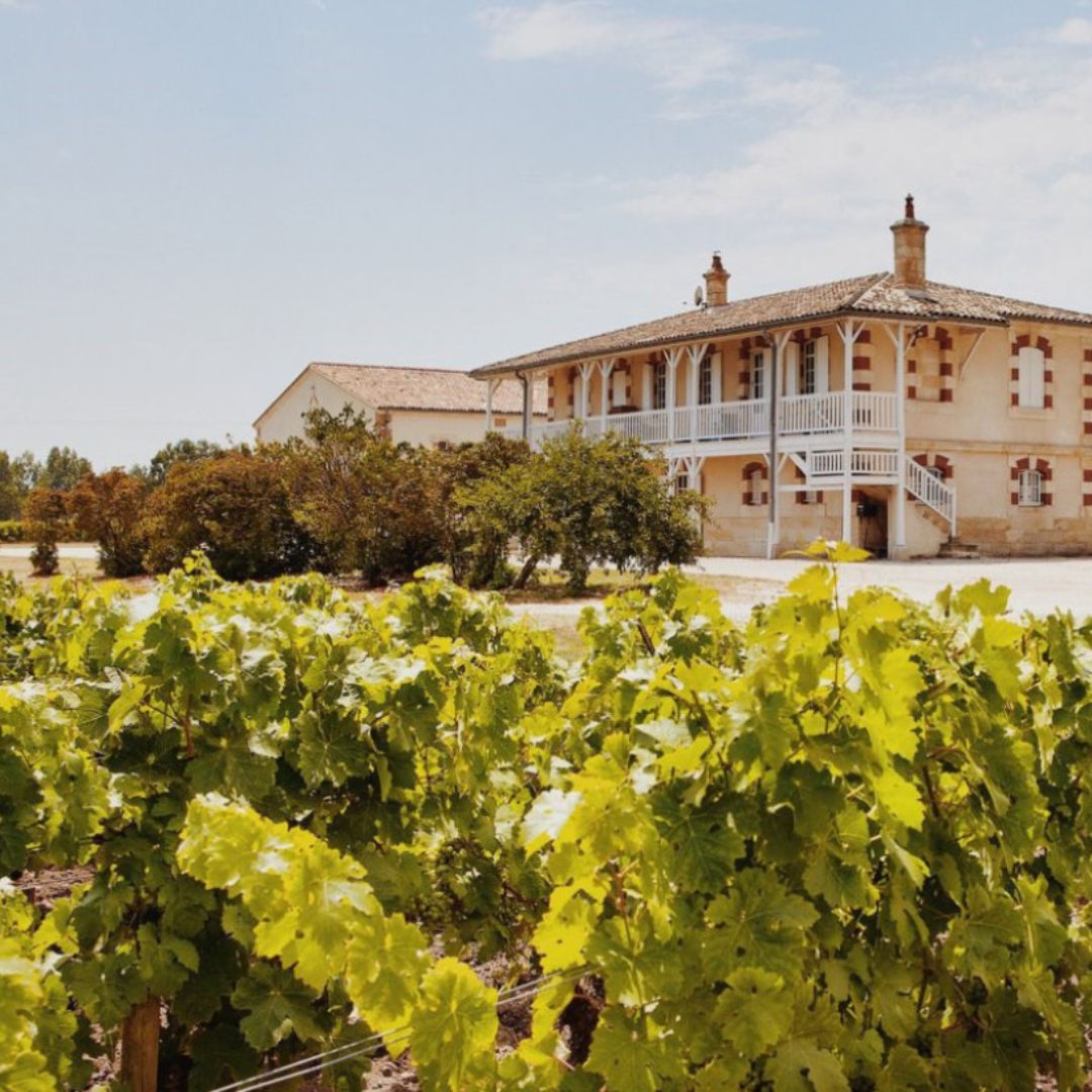 Chateau Haut-Batailley 2012 Red Wine