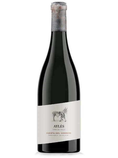 Cuesta del Herrero 2020 Red Wine