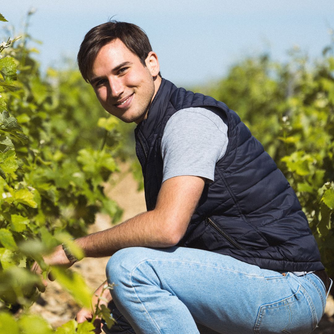 Divin Vigneron Pinot Noir < 0.5%