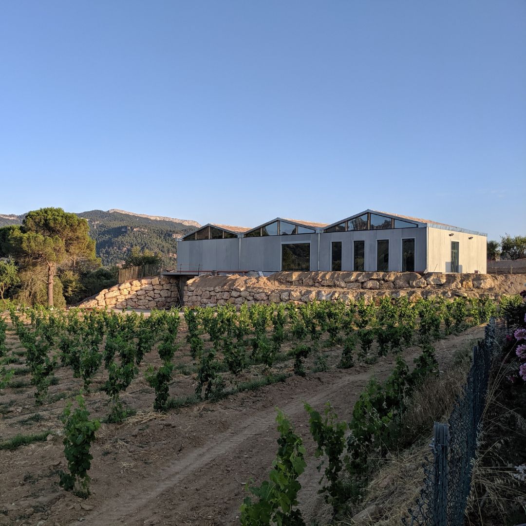 Finca Aiguasals 2017 Red Wine