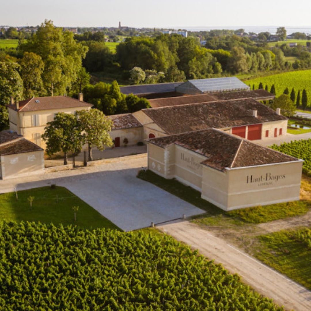 Ceres de Haut-Bages Liberal Organic 2020 Red Wine