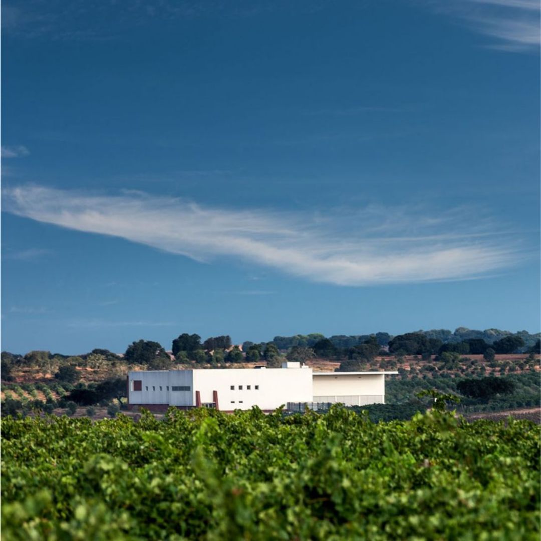 Mingorra Reserva 2017 Red Wine