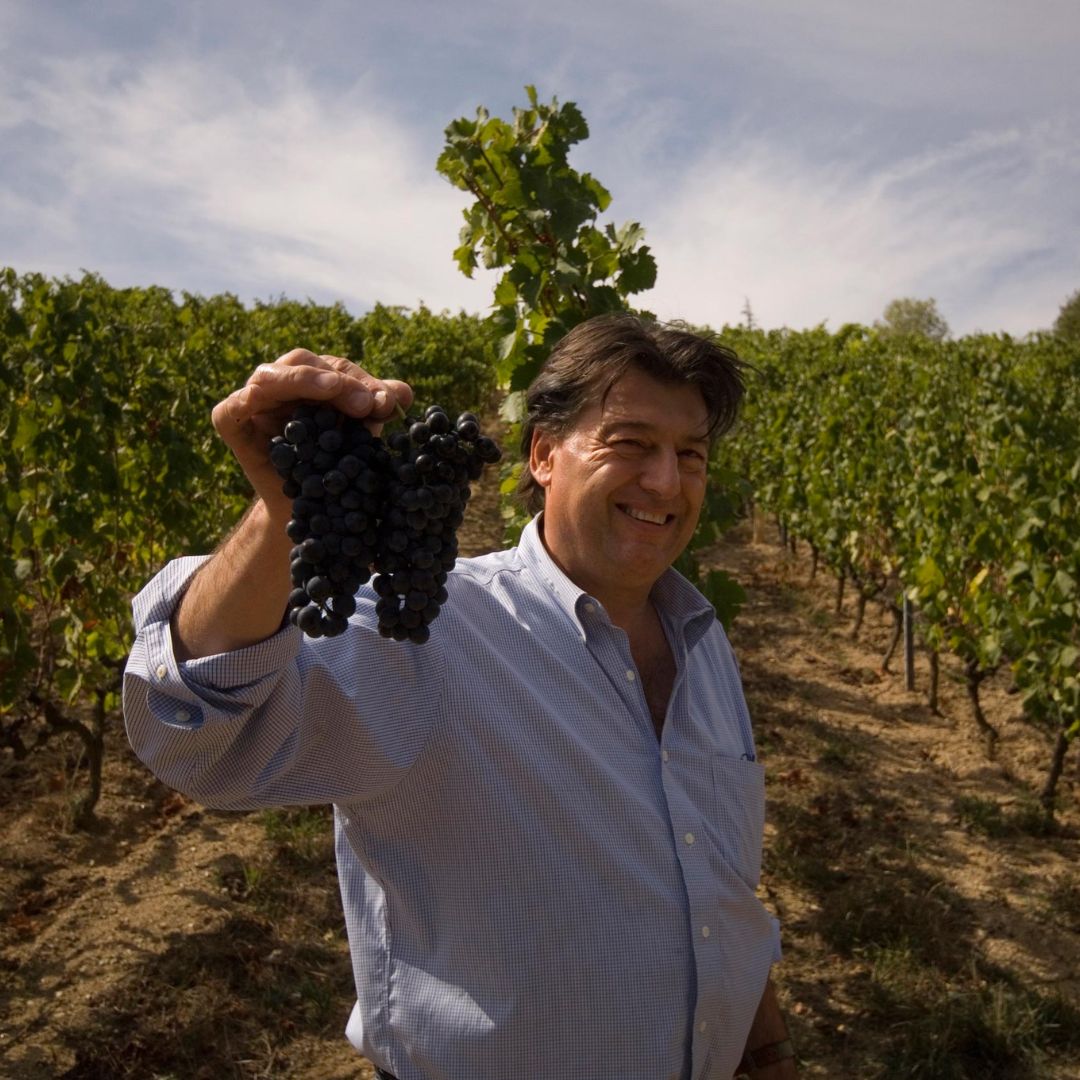 Cotes du Rhone Les Abeilles 2019 Red Wine