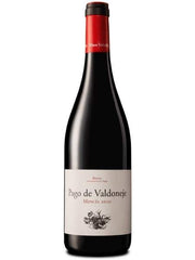 Pago de Valdoneje 2020 Red Wine