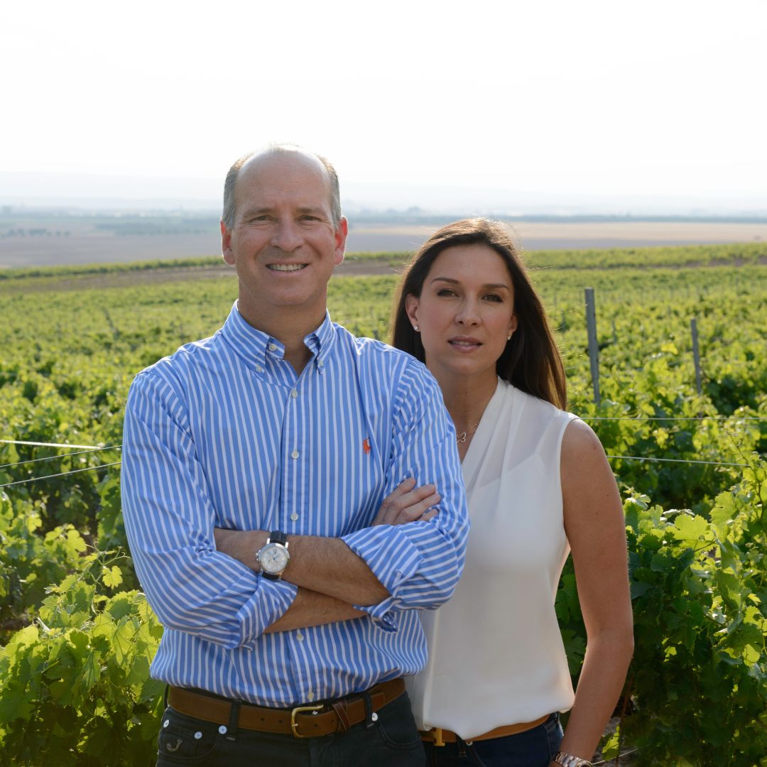 Pago de Cirsus Vendimia Seleccionada 2018 Red Wine