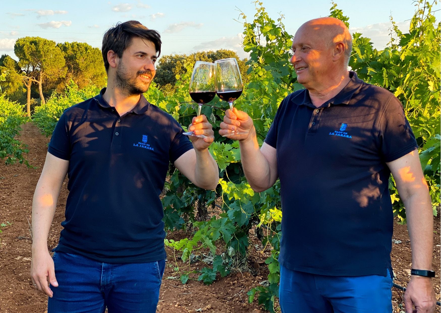 Viña Jaraba Crianza 2018, Red Wine