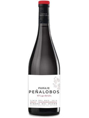 Paraje Penalobo El Lagar de Isilla 2018 Red Wine