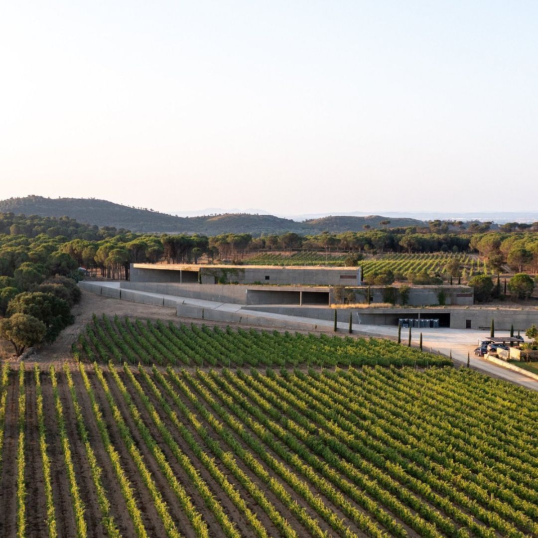 Usted Organic 2015 Red Wine