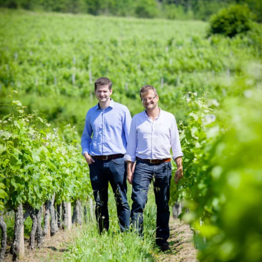 Sauternes Blanc Organic 2019 White Wine