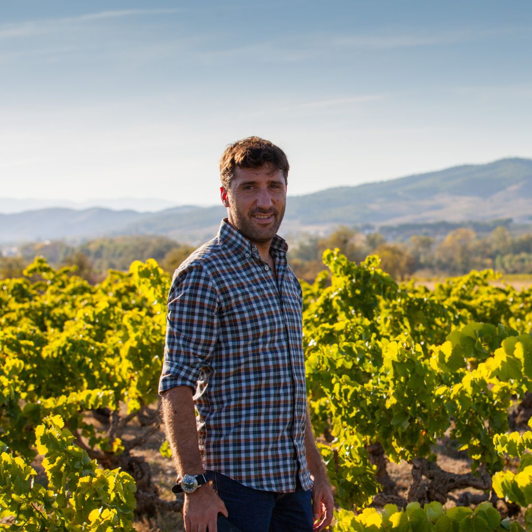 Vina Zorzal Black Grenache 2020 Red Wine