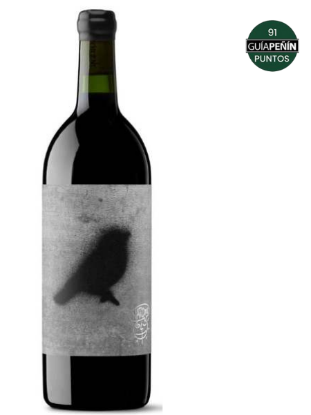 Bottle of Viña Zorzal Nat Cool 2020 Red Wine