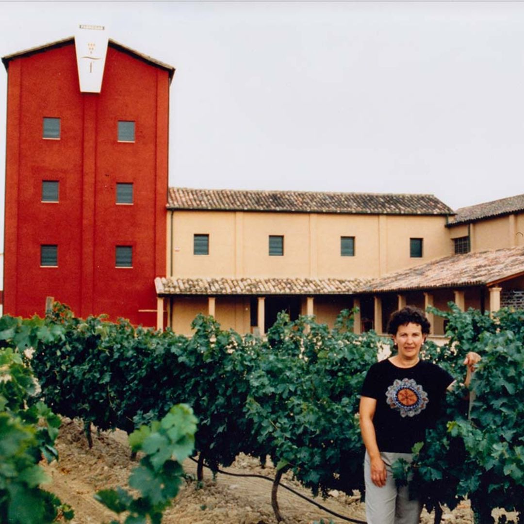 Fabregas Moristel 2019 Red Wine