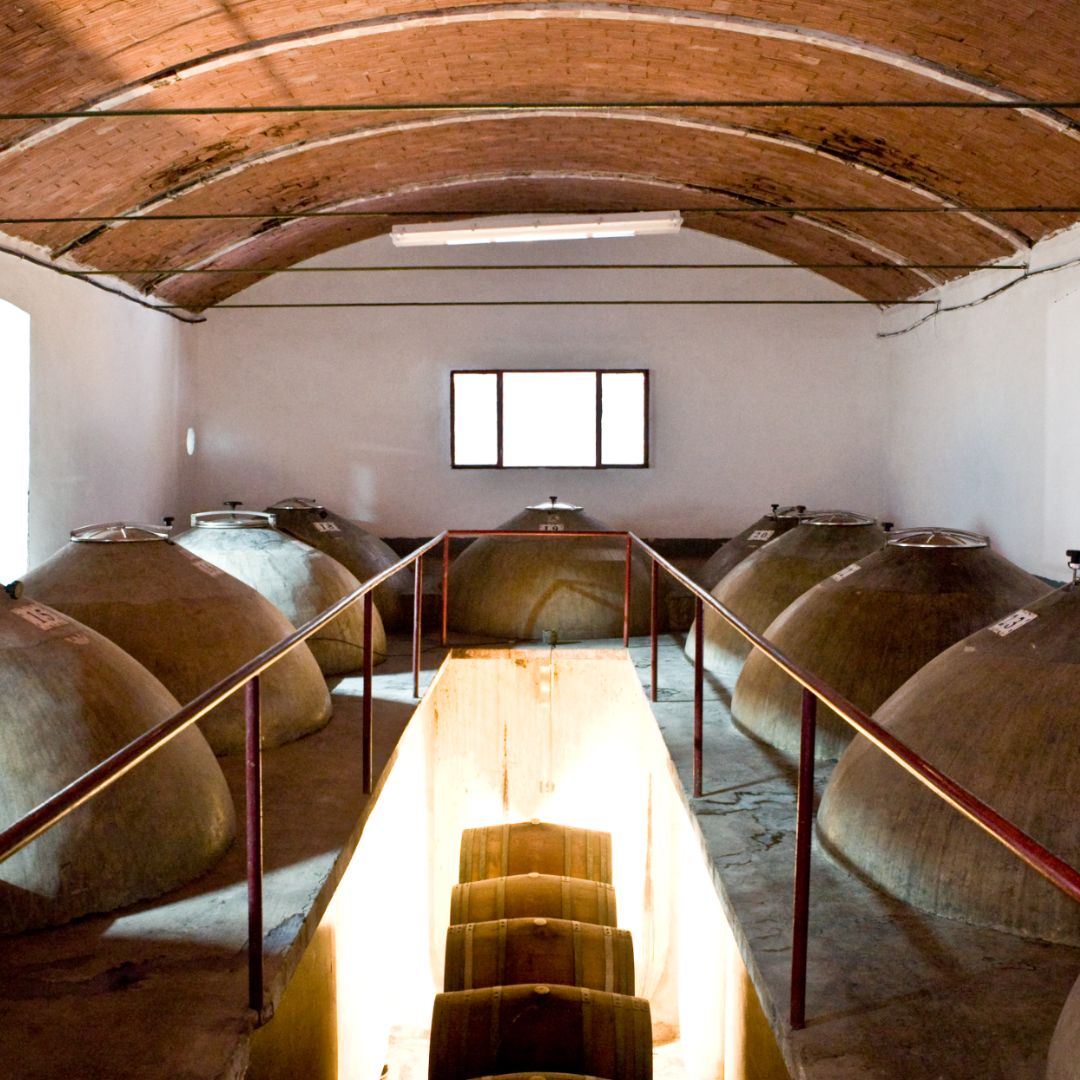 Finca Muñoz Coleccion de la Familia White Wine 2021
