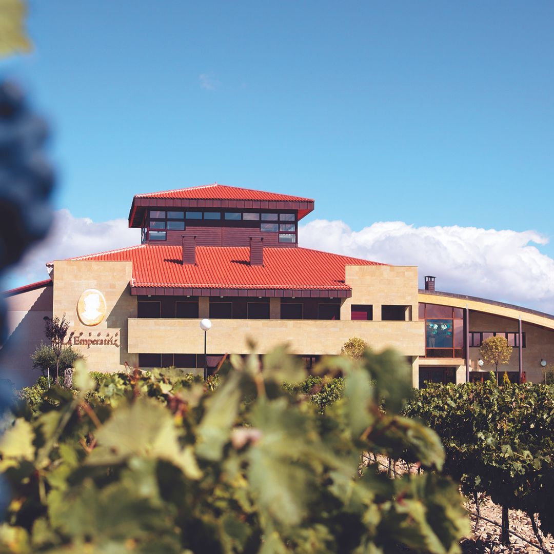 Finca la Emperatriz Gran Vino Tinto 2016 Red Wine