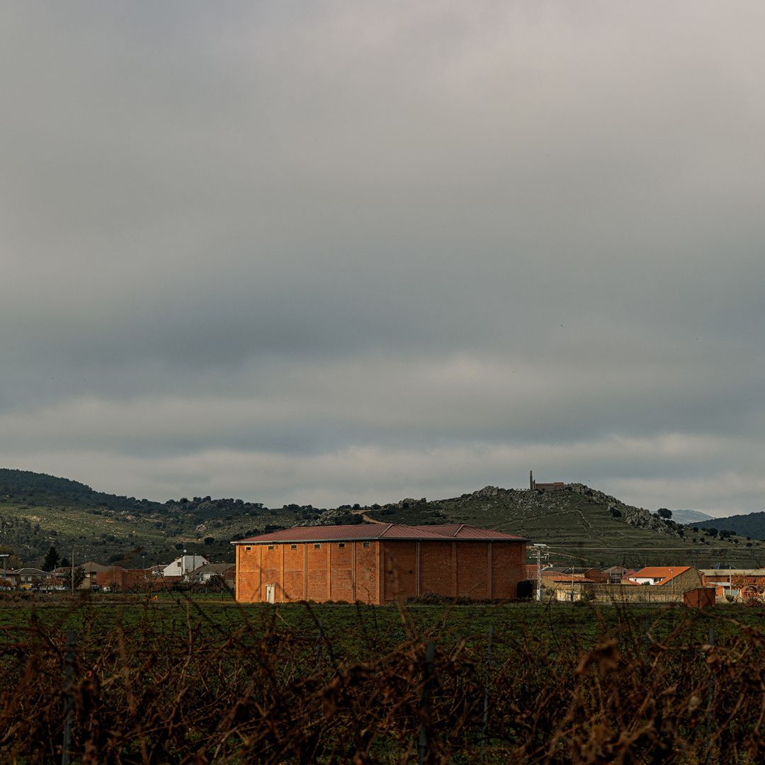 Alboca Crianza 2018 Red Wine